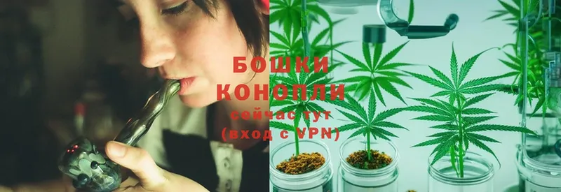 купить  сайты  Каменка  Конопля индика 